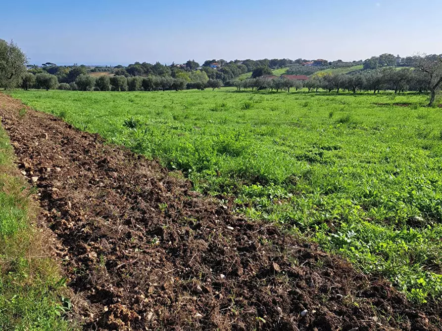 Immagine 8 di Terreno edificabile in vendita  in Via Follani 107 a Lanciano