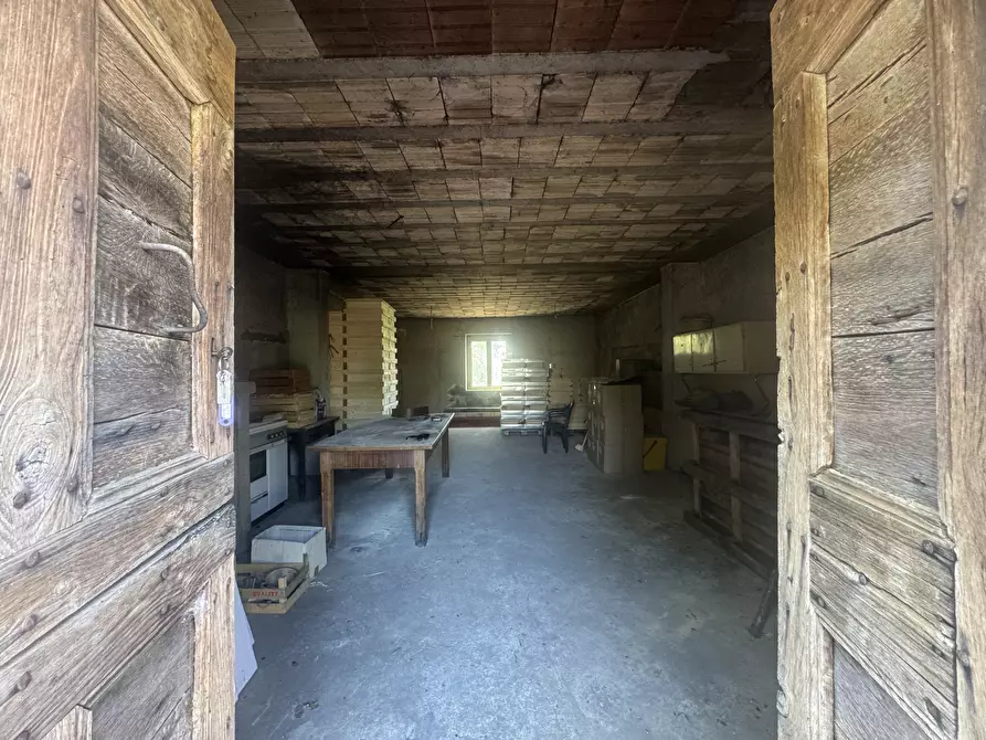 Immagine 24 di Casa indipendente in vendita  in torricchio a Tornareccio