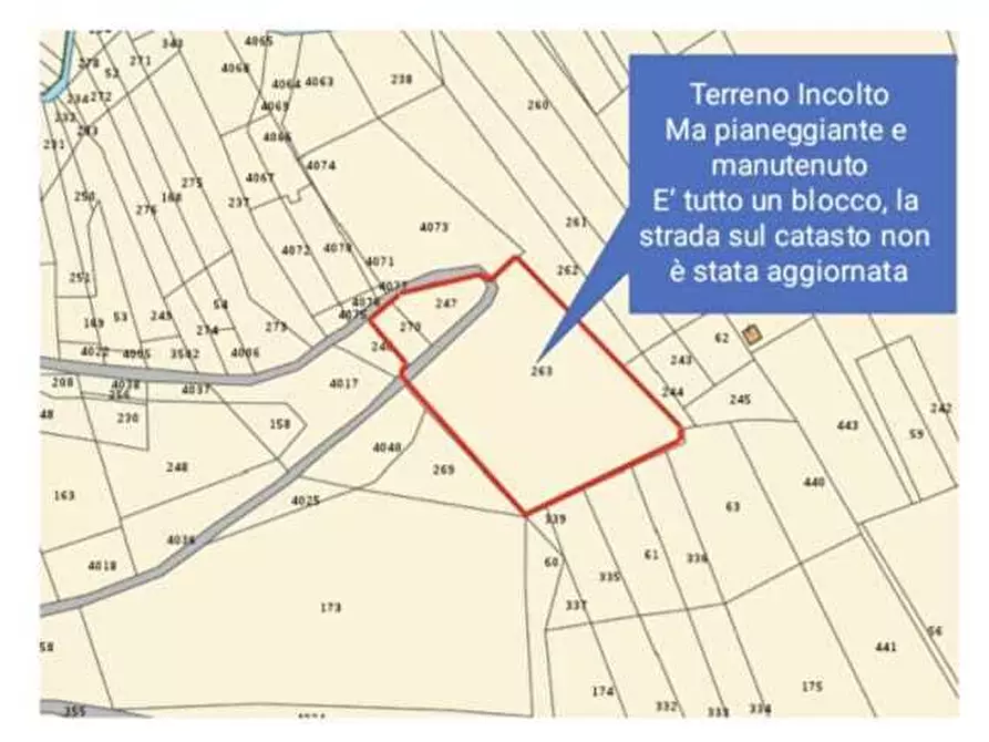 Immagine 4 di Terreno agricolo in vendita  in Contrada Castellana 3 a San Vito Chietino