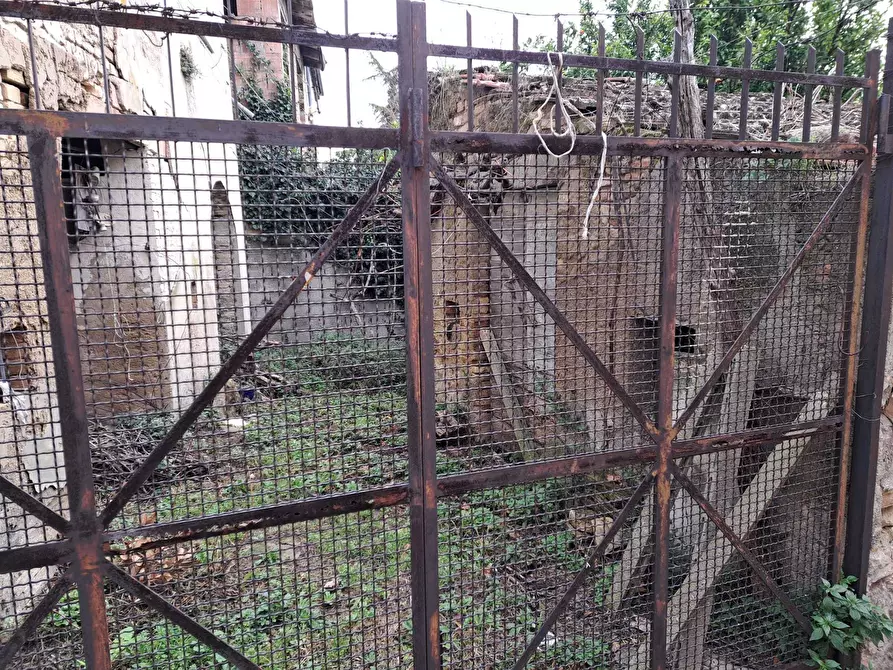 Immagine 15 di Terratetto in vendita  in Vico Municipio 1 a Santa Maria Imbaro