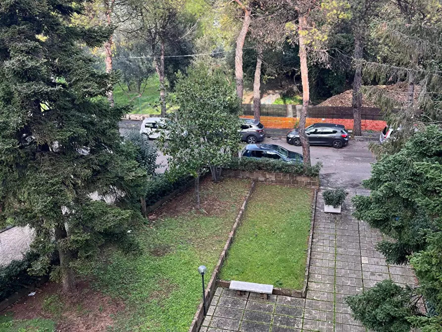 Immagine 37 di Trilocale in vendita  in Via Giangiulio Adamo 46 a Lanciano