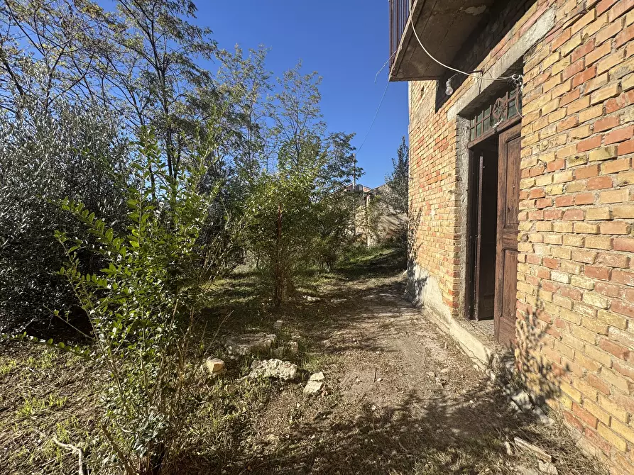 Immagine 36 di Rustico / casale in vendita  a Atessa