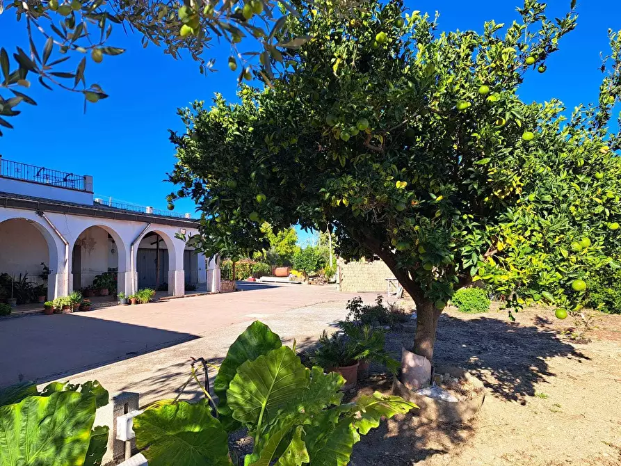 Immagine 38 di Rustico / casale in vendita  in via colle della fonte 94 a Frisa