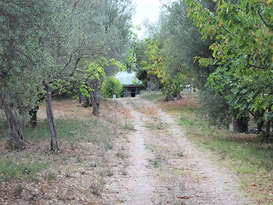 Immagine 20 di Casa indipendente in vendita  in Contrada Santa Maria dei Mesi 18 a Lanciano