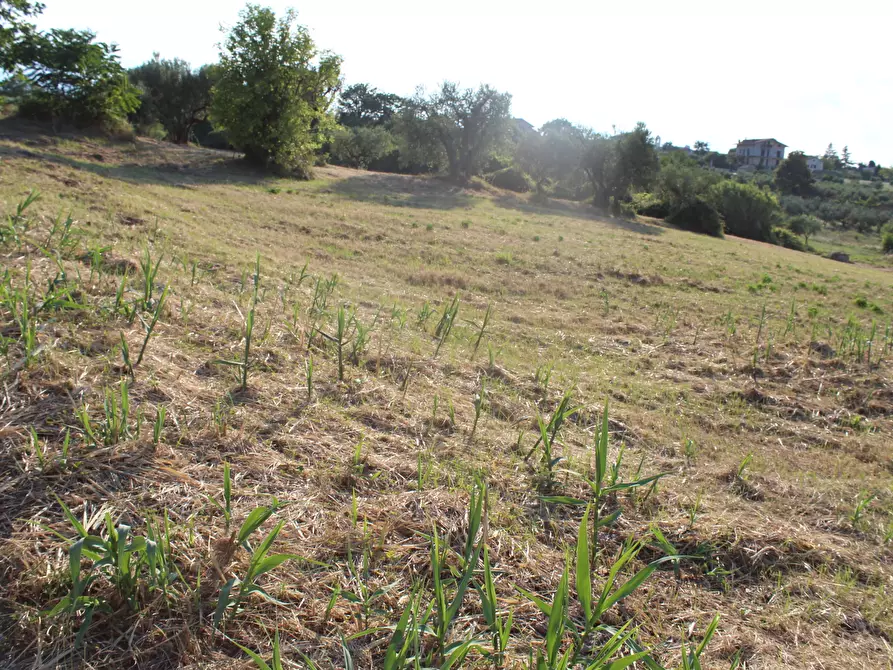 Immagine 6 di Terreno industriale in vendita  in Marcianese a Lanciano