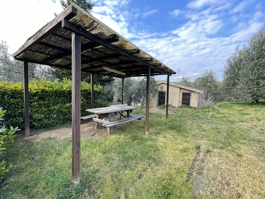 Immagine 2 di Terreno agricolo in vendita  in Strada Provinciale dei Tre Comuni a Casale Marittimo