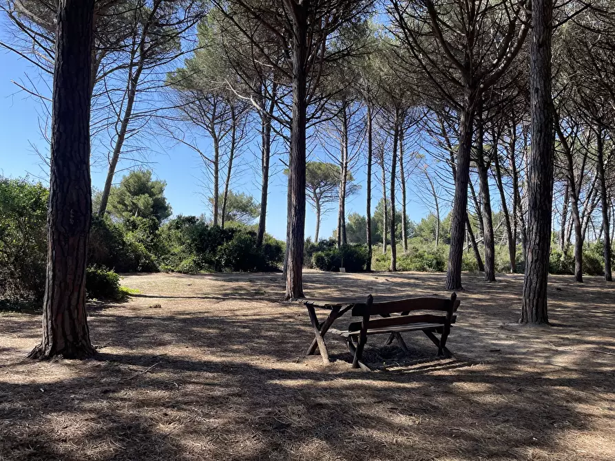 Immagine 19 di Casa indipendente in vendita  in Via Aurelia Sud a Cecina