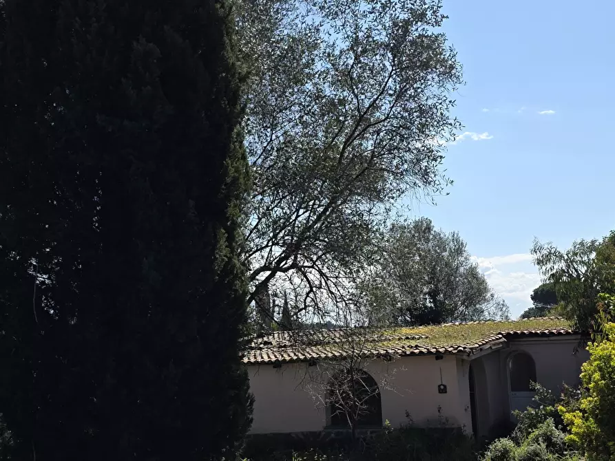 Immagine 3 di Terreno agricolo in vendita  in Via Enrico Fermi 13 a Morlupo