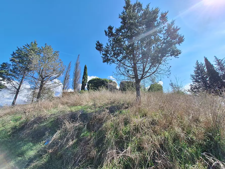 Immagine 66 di Rustico / casale in vendita  in Vocabolo Pupiglian 1 a Guardea