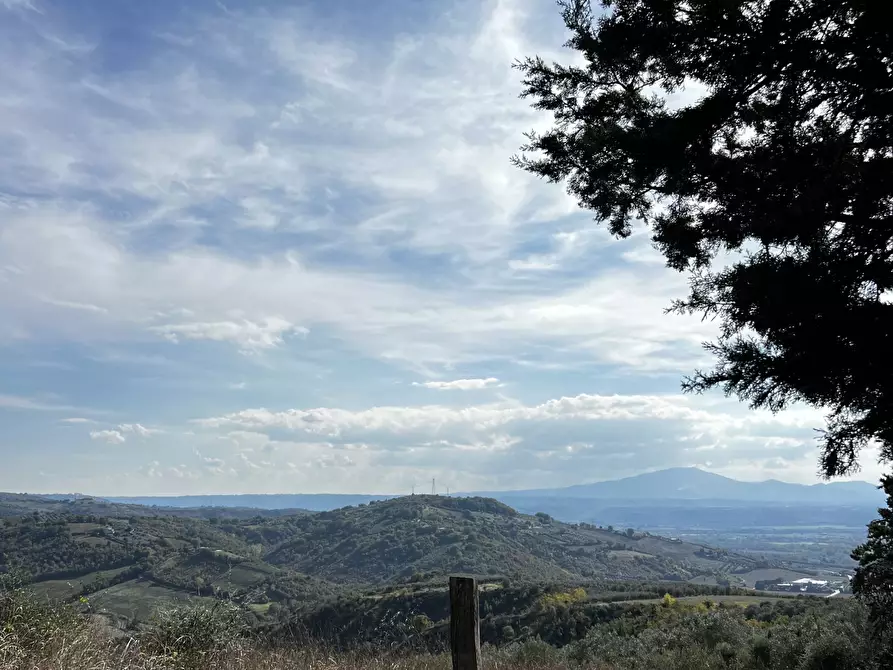 Immagine 94 di Rustico / casale in vendita  in Vocabolo Pupiglian 1 a Guardea