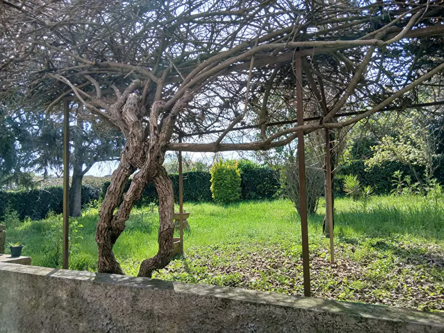 Immagine 35 di Casa bifamiliare in vendita  in Strada Valle di Baccano 3 a Campagnano Di Roma