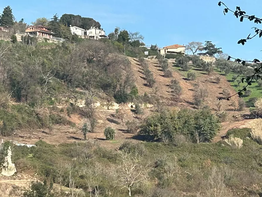 Immagine 11 di Terreno agricolo in vendita  in Via delle Grotte 1521 a Morlupo