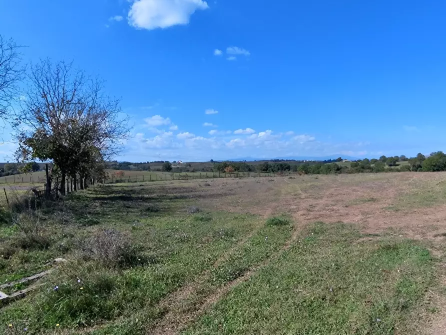 Immagine 34 di Villa in vendita  in Strada Comunale Campo Maggiore 10 a Rignano Flaminio