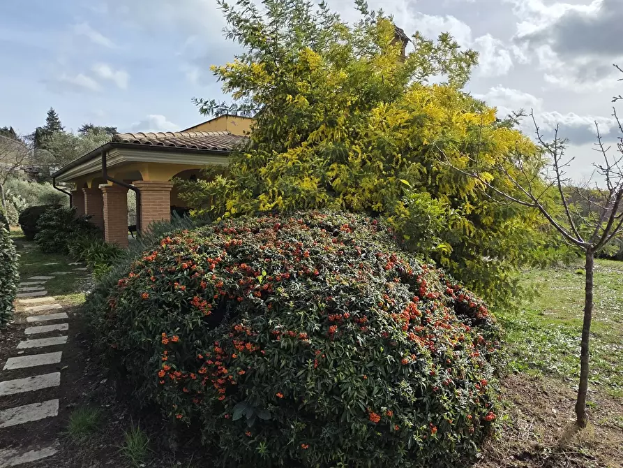 Immagine 64 di Villa in vendita  in Via Aldo Moro 889 a Morlupo