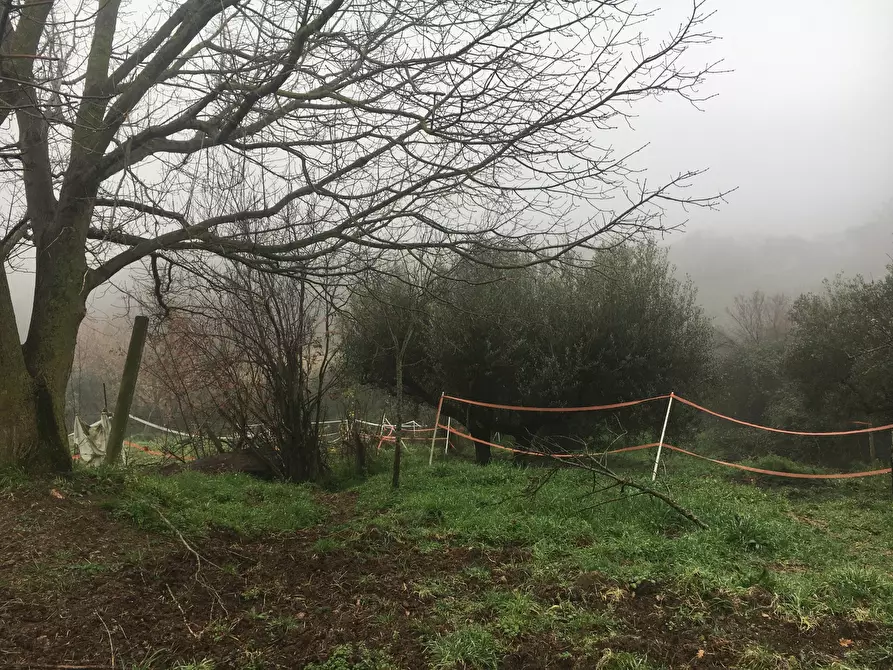 Immagine 3 di Terreno agricolo in vendita  in Via Monte Calcaro 51 a Sacrofano