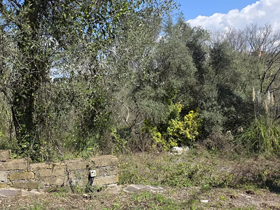 Immagine 16 di Terreno agricolo in vendita  in Via Enrico Fermi 13 a Morlupo