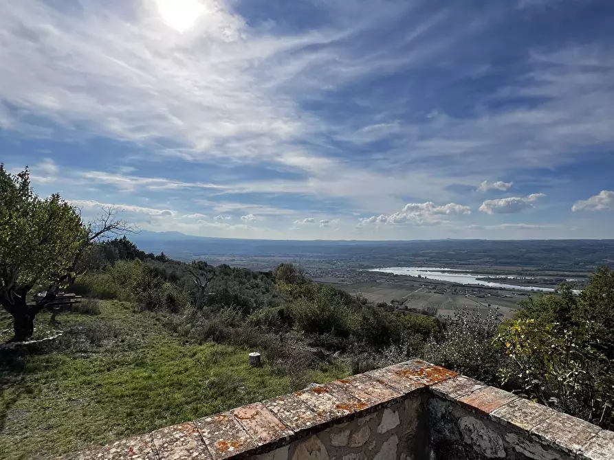 Immagine 88 di Rustico / casale in vendita  in Vocabolo Pupiglian 1 a Guardea