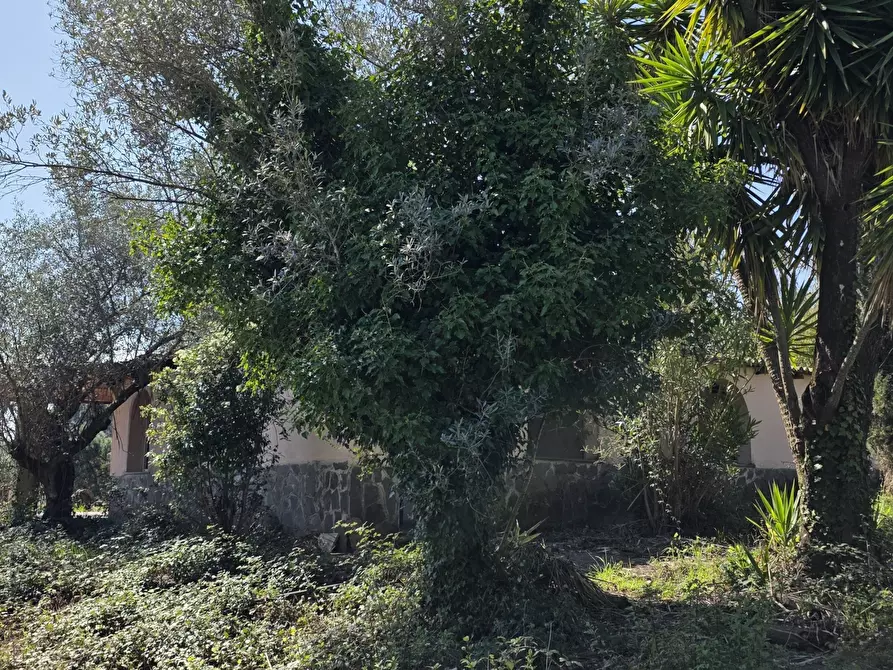 Immagine 28 di Rustico / casale in vendita  in Via Enrico Fermi 10 a Morlupo