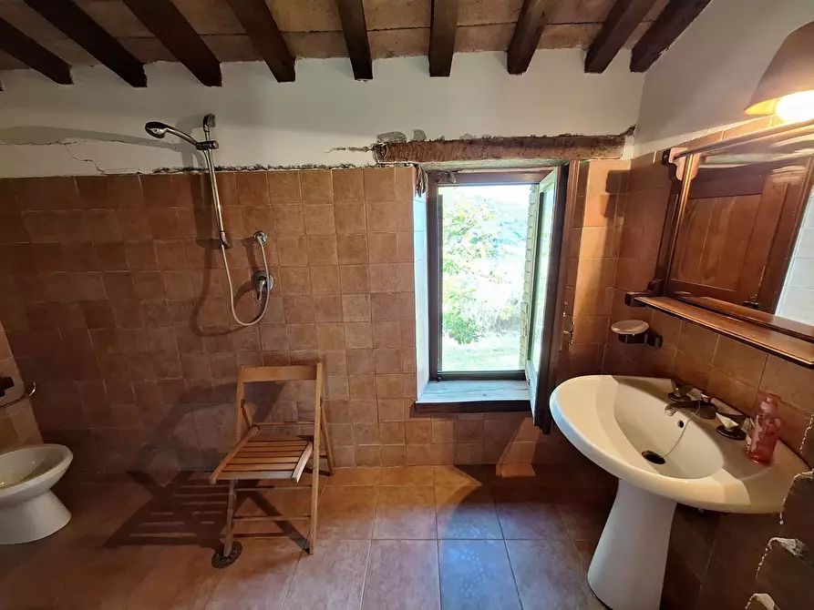 Immagine 115 di Rustico / casale in vendita  in Vocabolo Pupiglian 1 a Guardea