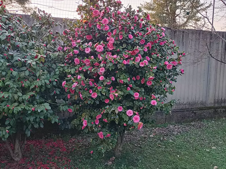 Immagine 74 di Casa bifamiliare in vendita  in Via Lombardore 243 a Ciriè