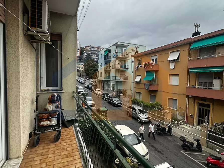Immagine 19 di Quadrilocale in vendita  in Via Filippo Turati 17 a Savona