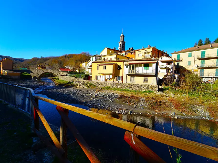 Immagine 22 di Terratetto in vendita  a Tornolo