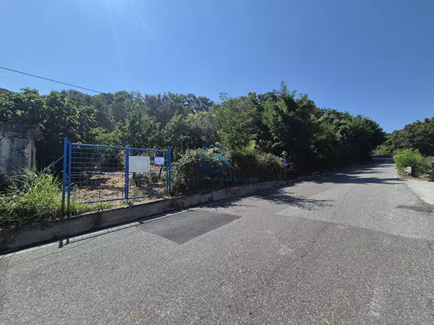 Immagine 1 di Terreno agricolo in vendita  a Caraffa Di Catanzaro