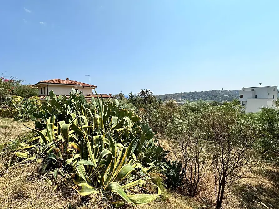 Immagine 3 di Terreno edificabile in vendita  a Montepaone