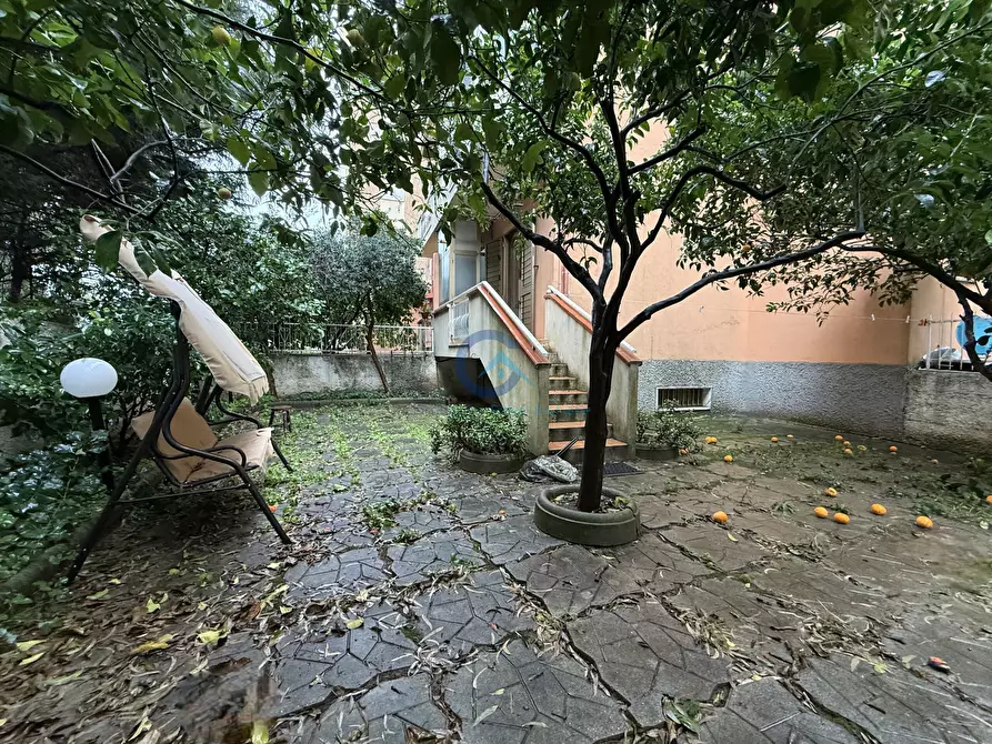 Immagine 1 di Trilocale in affitto  a Catanzaro