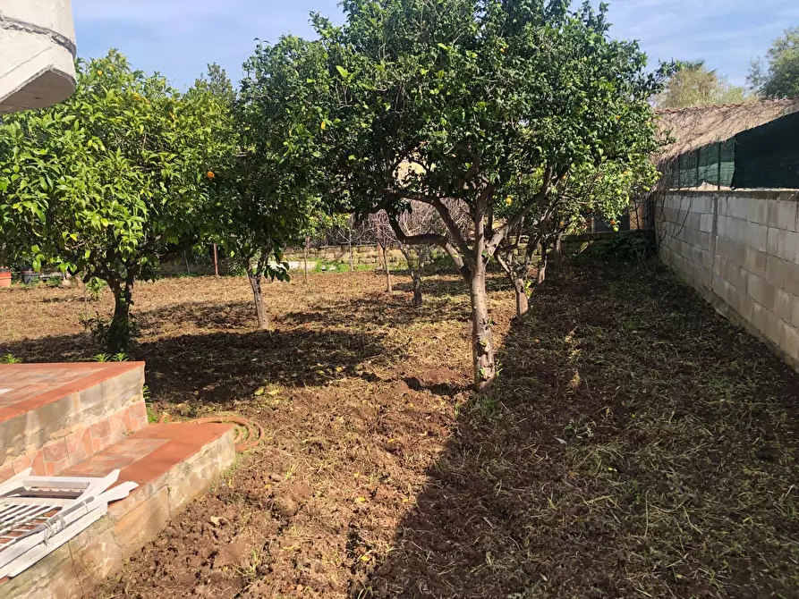 Immagine 47 di Casa indipendente in vendita  in VIA ISOLE DELLA  CALEDONIA a Siracusa