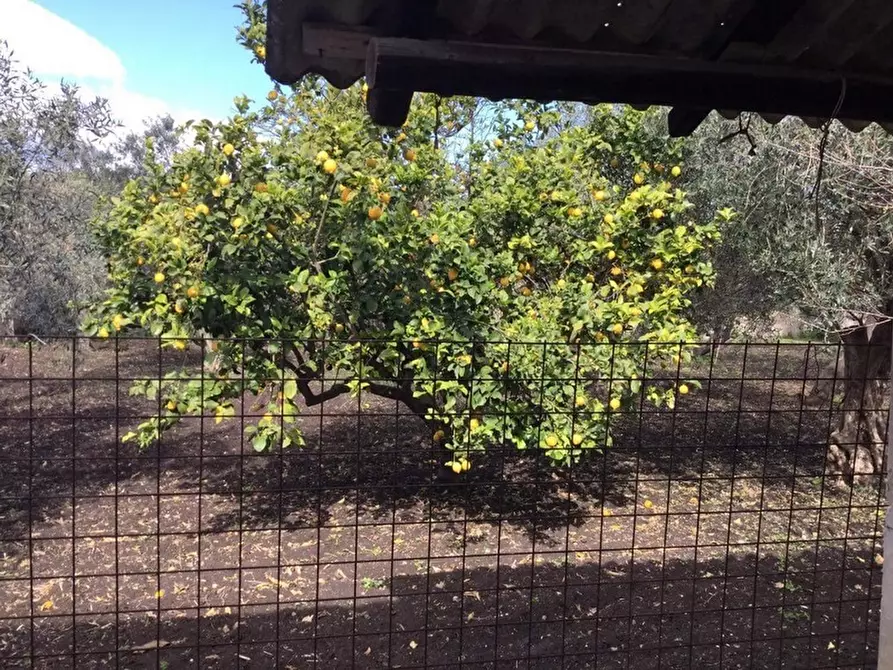 Immagine 38 di Villa in vendita  in via marzamemi a Melilli