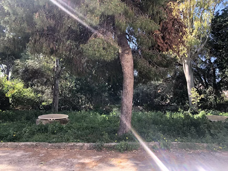 Immagine 4 di Pentalocale in vendita  in Viale Teocrito a Siracusa