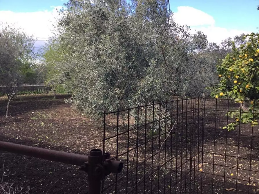 Immagine 39 di Villa in vendita  in via marzamemi a Melilli