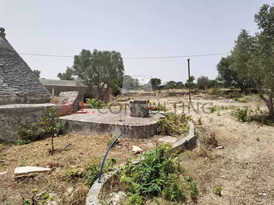 Immagine 24 di Rustico / casale in vendita  in Strada Provinciale 65 52 a Martina Franca