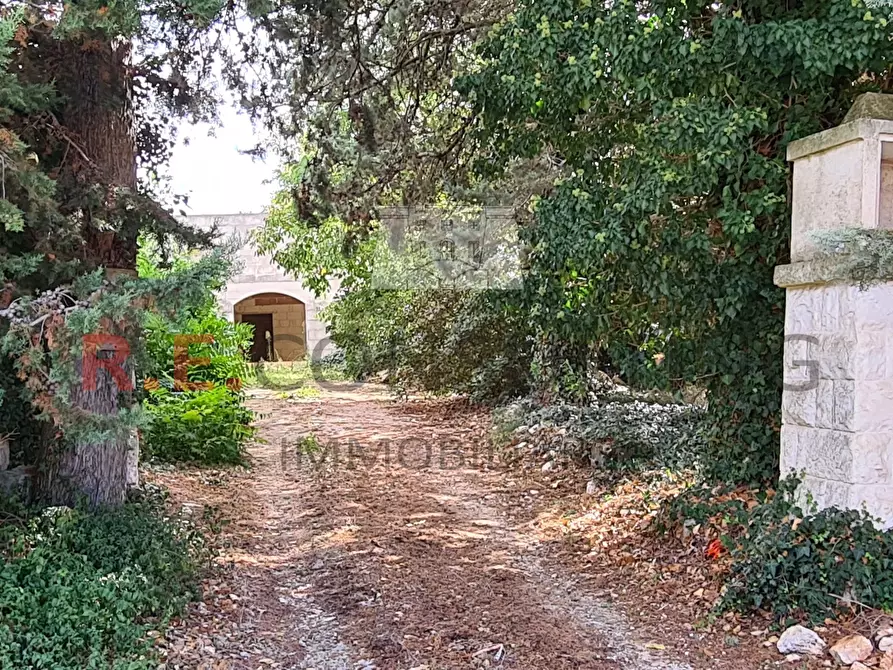 Immagine 2 di Baita in vendita  in Contrada Ulmo sn a Ceglie Messapico