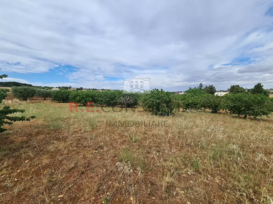 Immagine 22 di Baita in vendita  in Via ospedale a Martina Franca