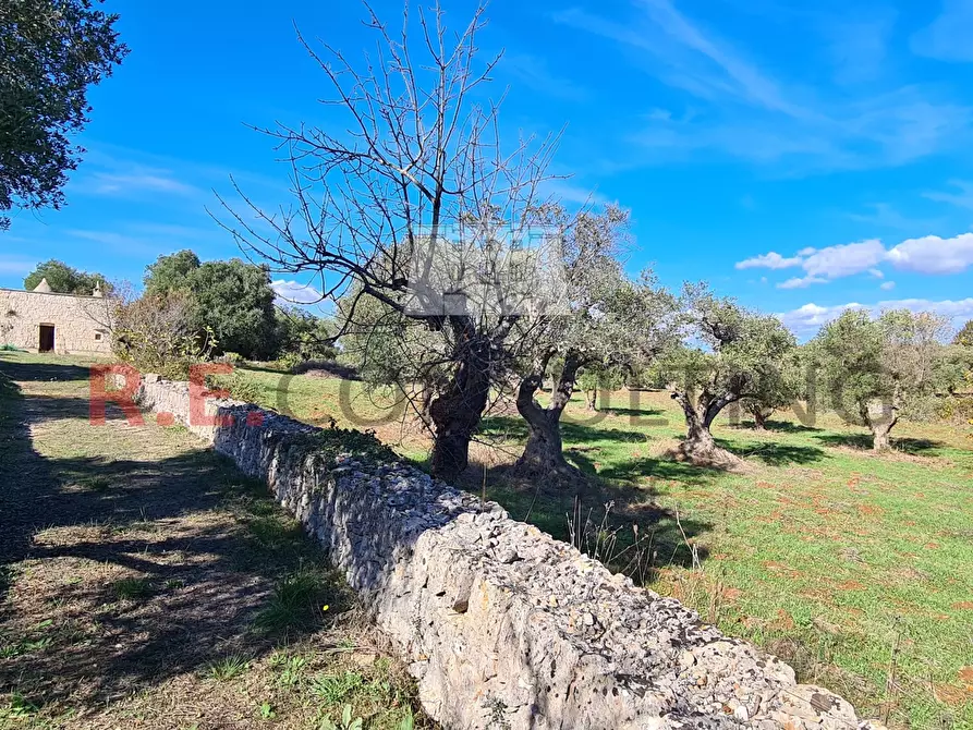 Immagine 26 di Rustico / casale in vendita  a Ceglie Messapico