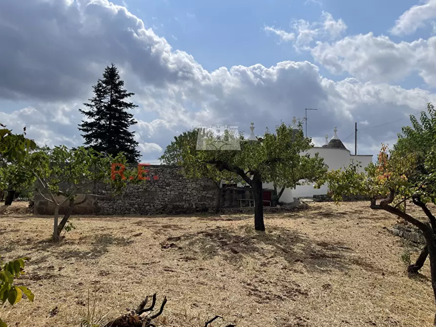 Immagine 18 di Baita in vendita  in Strada Provinciale 62 139 a Martina Franca