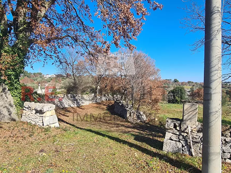 Immagine 15 di Baita in vendita  in Contrada Montemichele 14 a Ostuni