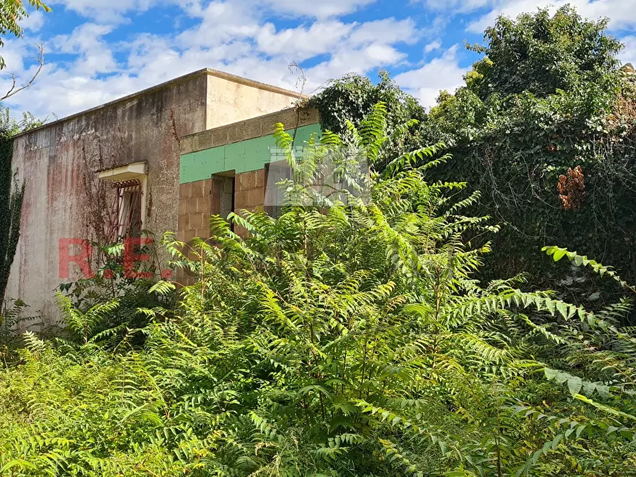 Immagine 40 di Baita in vendita  in Contrada Ulmo sn a Ceglie Messapico