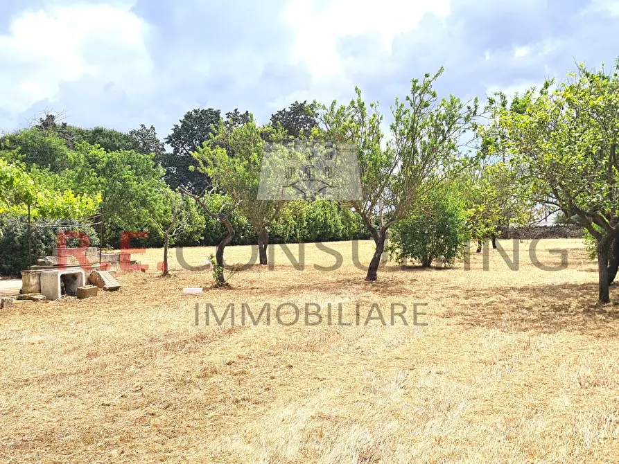 Immagine 14 di Rustico / casale in vendita  a Martina Franca