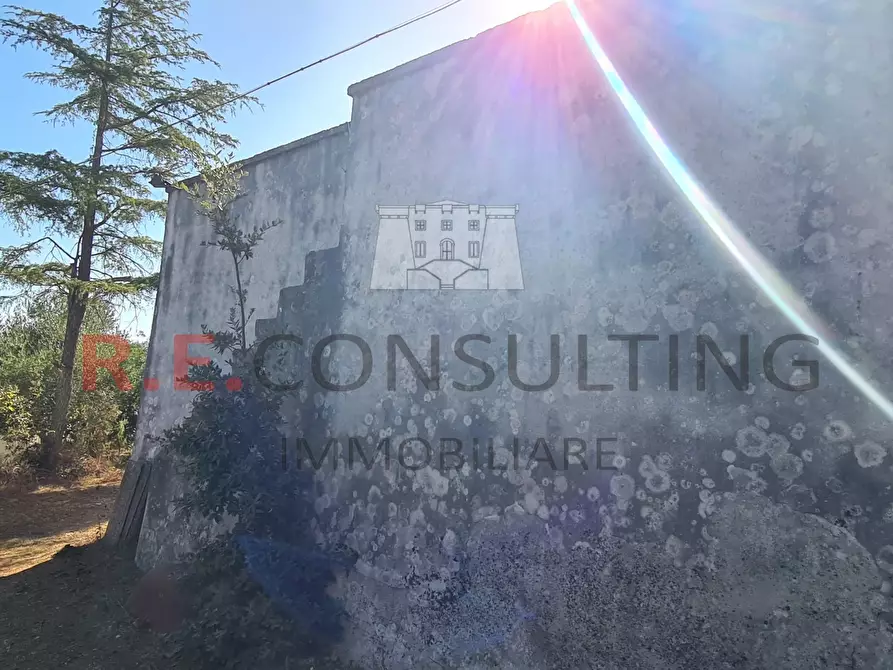 Immagine 25 di Villa in vendita  in SP49 108 a Martina Franca