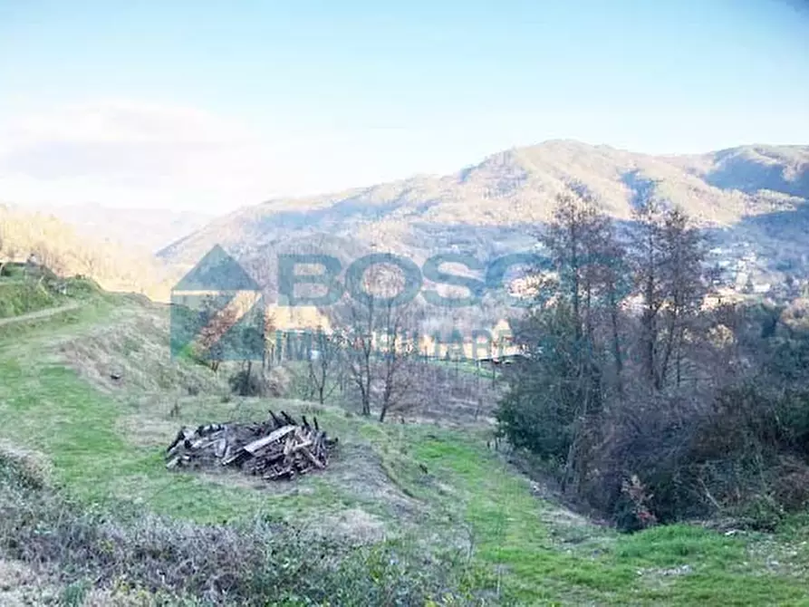 Immagine 3 di Rustico / casale in vendita  in Salita Castello a Beverino