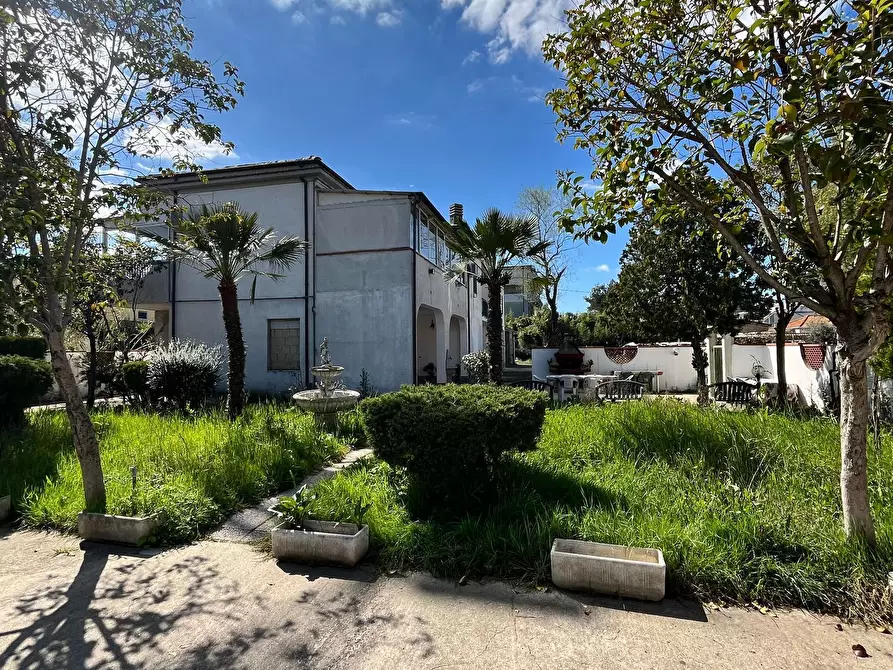 Immagine 2 di Casa trifamiliare in vendita  a Pescara