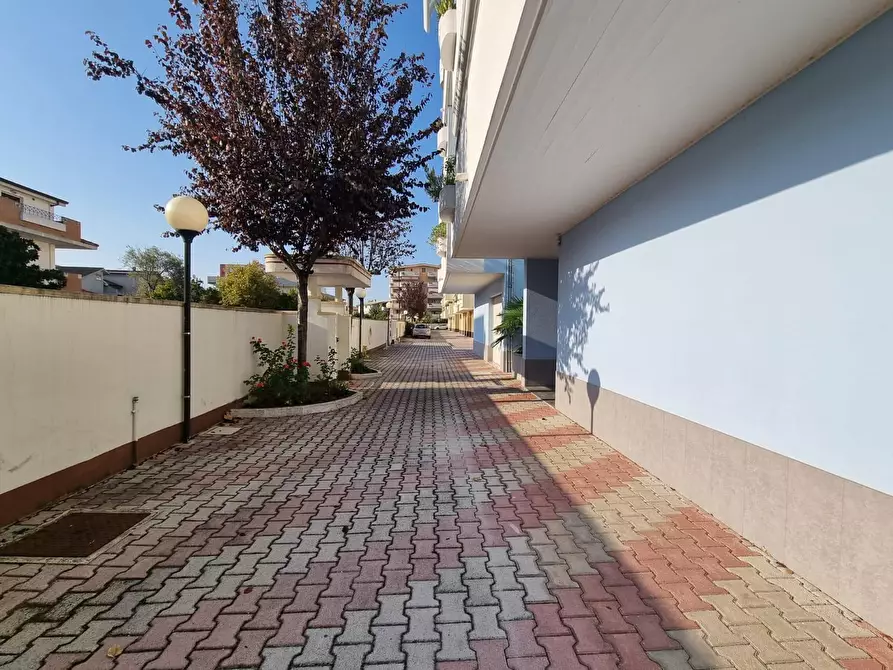 Immagine 4 di Quadrilocale in vendita  a Pescara