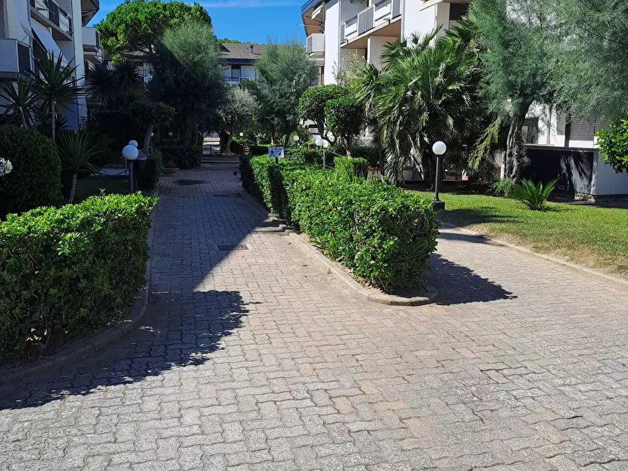 Immagine 5 di Trilocale in vendita  a Silvi