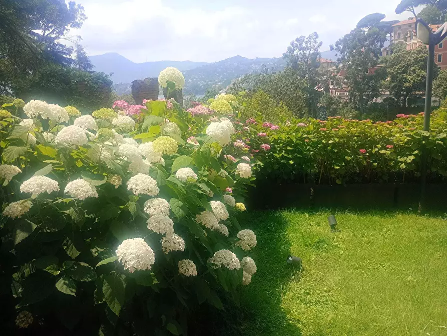 Immagine 37 di Trilocale in vendita  a Zoagli