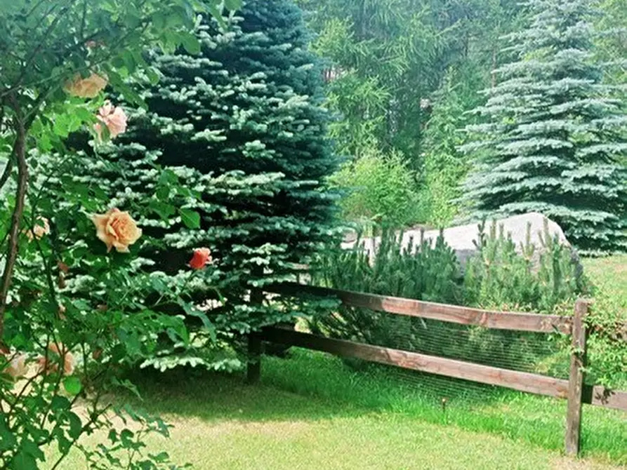 Immagine 21 di Bilocale in vendita  in Via Rohrbach 34 a Pragelato