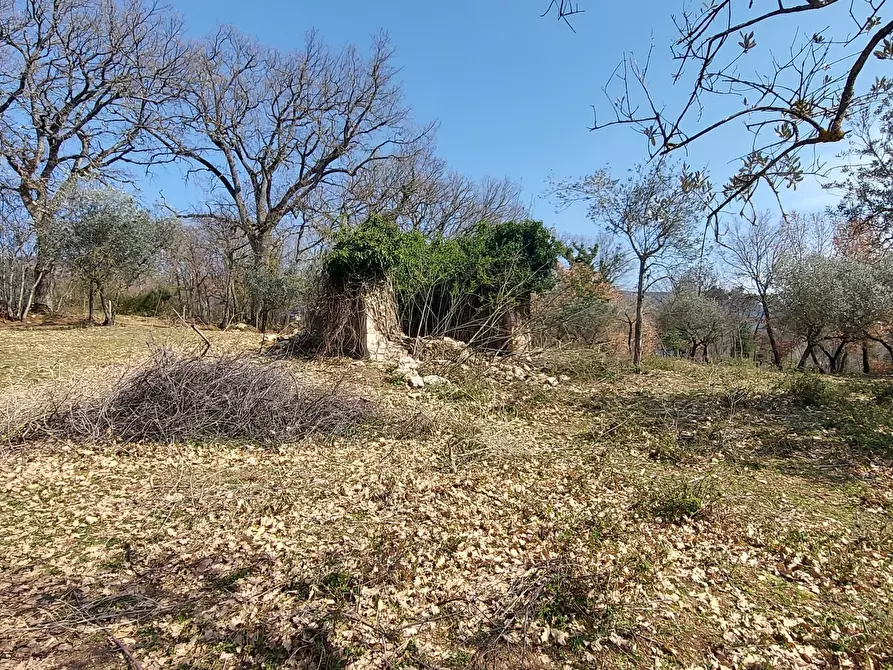 Immagine 12 di Terreno agricolo in vendita  a Massa Martana