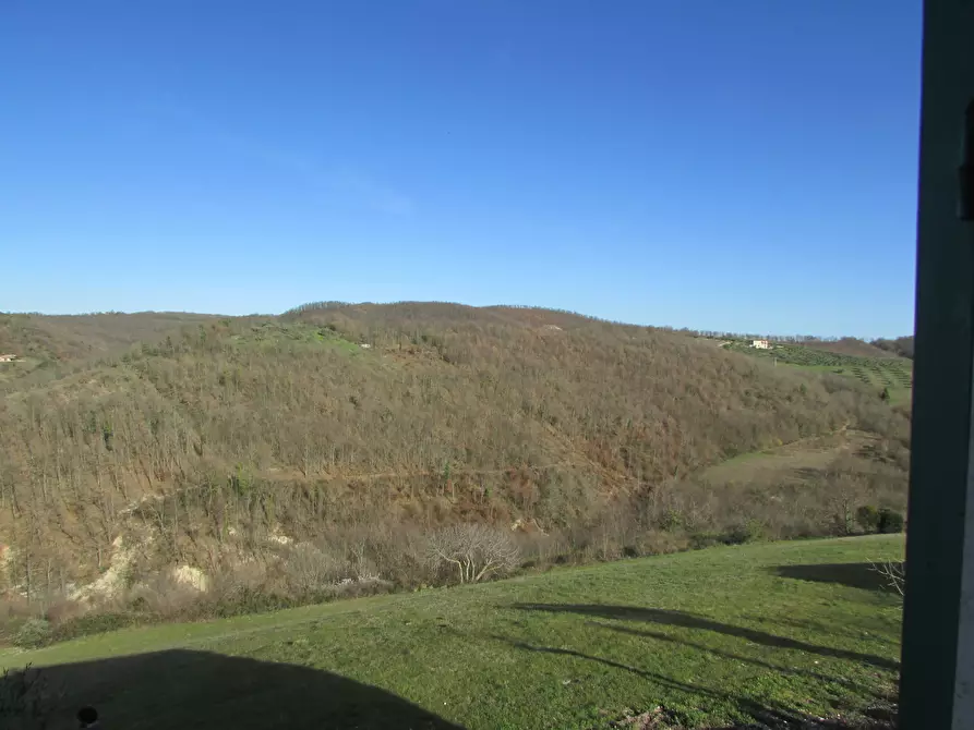 Immagine 2 di Rustico / casale in vendita  a Baschi